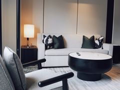 -新加坡乌节希尔顿酒店 (SG Clean)