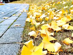 -王家墩东(地铁站)