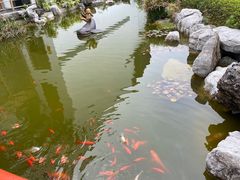 -东方艺术博物馆