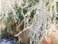 -中国茶叶博物馆(双峰馆区)