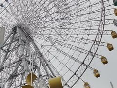 -大阪海游馆