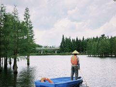 -白鹭湾湿地公园