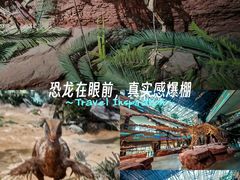 -安徽省地质博物馆