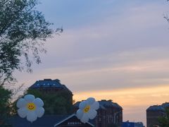 -天津东丽湖风景区