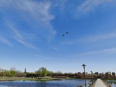 -大兴滨河森林公园