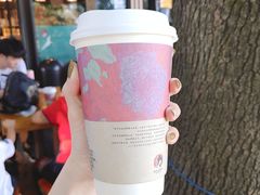 -茶颜悦色(岳麓山顶店)