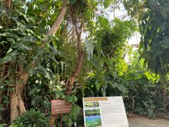 -北京植物园-展览温室