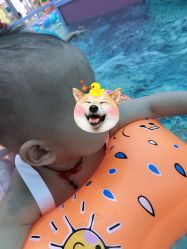 -海豚啵啵体智能游泳馆(惠山万达广场店)