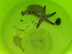 -威海国际海水浴场旅游区