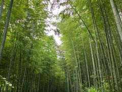 -南山风景名胜区