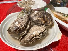 -罗源湾8号渔排