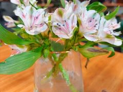 -山茶云南菜(永安里店)