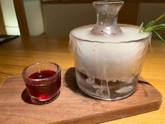 自制鲜山楂乌梅汁-庆春朴门