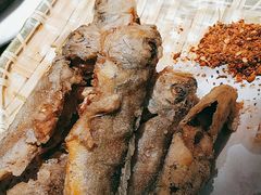 -小俩口烧烤东北菜(双井店)