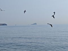 -青岛银沙滩