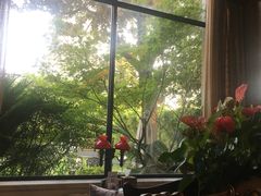 -大可堂普洱茶馆(襄阳南路馆)