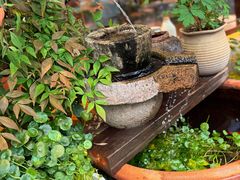 -三古月·老湖州面馆(梅地亚店)