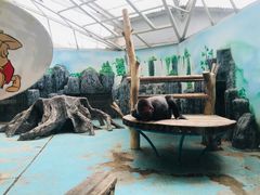 景点-郑州市动物园