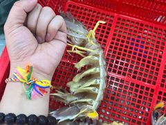 -拉威海鲜市场