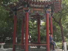 -文瀛公园