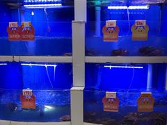 -七欣天香辣蟹火锅(无锡金太湖国际城店)