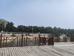 -日照海滨国家森林公园