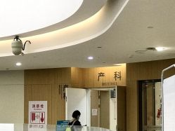 -天使医生VIP孕期孕检产检(市二医院店)