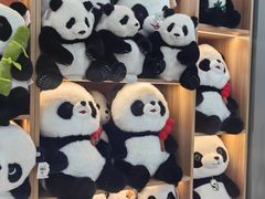 -武汉动物园