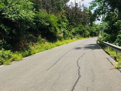 -青龙山国家森林公园
