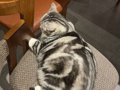 -咖法森林·咖啡  酒吧(天河店)