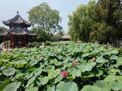 -莲池书院博物馆