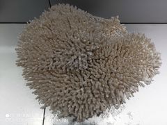 -福州罗源湾海洋世界旅游区