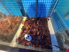 -海天盛宴潮汕蒸汽海鲜高端自助形象店