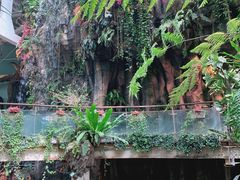 -正佳雨林生态植物园