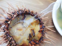 -海胆小馆(东北水饺·春柳店)