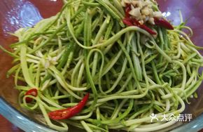 Cucumber Salad