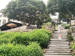 -阿巧茶庄