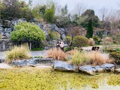 -上海吴淞炮台湾国家湿地公园