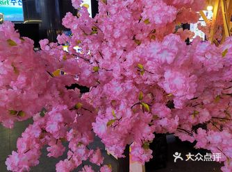 韩国街樱花季，春光明媚赏樱花