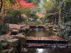 九溪烟树-九溪烟树
