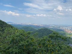 -杭州半山国家森林公园