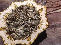 -领航美食音乐餐吧