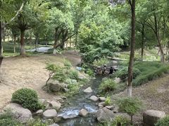 -新洲生态园