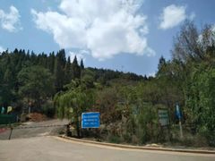 -长虫山生态公园风景林