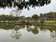 -洪湖家庭农场·团建·露营·会议