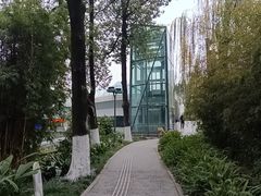-成都市活水公园
