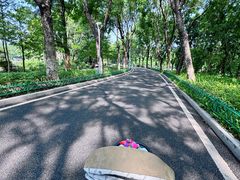 -东莞植物园