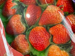 -盒马鲜生(富田新天地店)