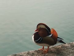 -颐和园