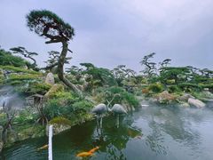 -罗红摄影艺术馆